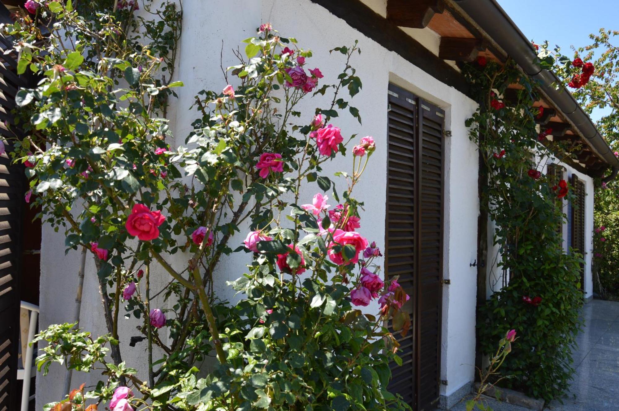 Residence Angiolina Nova Vas  Exterior photo